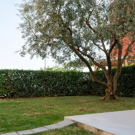Ivy Apartment Karpinjan